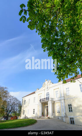 Il castello di Wilfersdorf, Austria, Niederösterreich, Bassa Austria, Weinviertel, Wilfersdorf Foto Stock