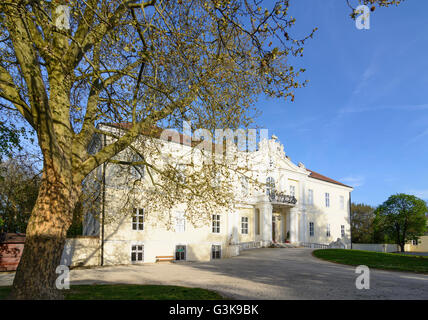 Il castello di Wilfersdorf, Austria, Niederösterreich, Bassa Austria, Weinviertel, Wilfersdorf Foto Stock