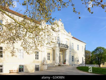 Il castello di Wilfersdorf, Austria, Niederösterreich, Bassa Austria, Weinviertel, Wilfersdorf Foto Stock