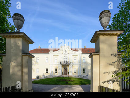 Il castello di Wilfersdorf, Austria, Niederösterreich, Bassa Austria, Weinviertel, Wilfersdorf Foto Stock