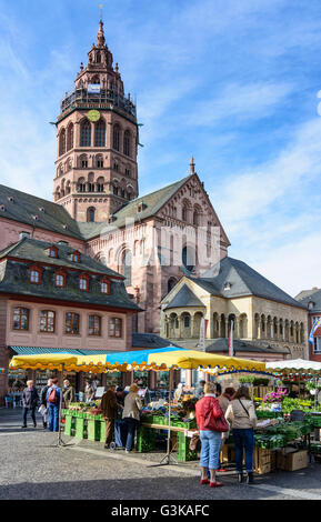 San Martin's Cathedral e il mercato settimanale, Germania Renania-Palatinato, Renania-Palatinato, , Magonza Foto Stock