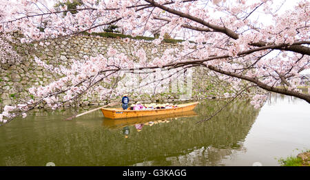 Crociera turistica guardare sakura blossoms sulla barca presso il castello di Himeji, Giappone Foto Stock