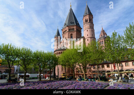 San Martin's Cathedral, mercato settimanale, Germania Renania-Palatinato, Renania-Palatinato, , Magonza Foto Stock