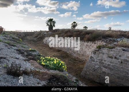 Apollonia Parco Nazionale, Israele Foto Stock