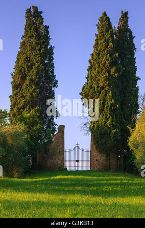 Cipressi accanto a un antico cancello nel cuore della Toscana vicino a San Quirico in Val d'Orcia, Italia Foto Stock