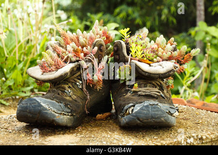 Stivali vecchi usati come vasi di fiori Foto Stock