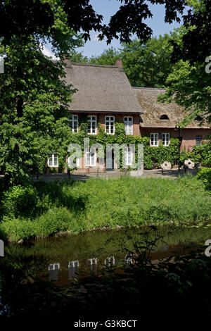 Mill, Mill pond, Ahrensburg, Schleswig-Holstein, Germania Foto Stock