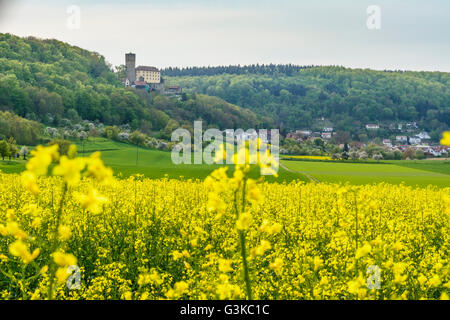 Guttenberg Castello, campo di colza, Germania, Baden-Württemberg, Heilbronner Terra, Haßmersheim Foto Stock