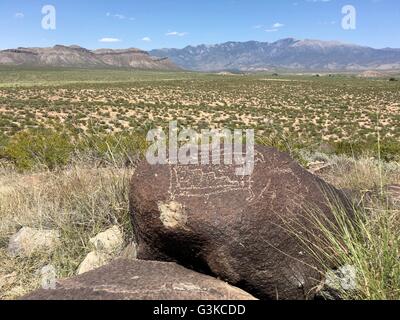 Nativi Americani (Jornada Mogollon persone) petroglifi scolpiti sulle rocce a tre fiumi Petroglyph sito nelle vicinanze di Tularosa, Nuovo Messico Foto Stock
