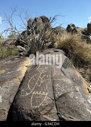 Nativi Americani (Jornada Mogollon persone) petroglifi scolpiti sulle rocce a tre fiumi Petroglyph sito nelle vicinanze di Tularosa, Nuovo Messico Foto Stock
