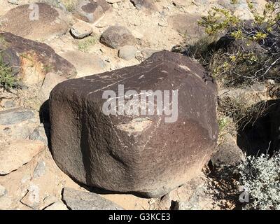 Nativi Americani (Jornada Mogollon persone) petroglifi scolpiti sulle rocce a tre fiumi Petroglyph sito nelle vicinanze di Tularosa, Nuovo Messico Foto Stock