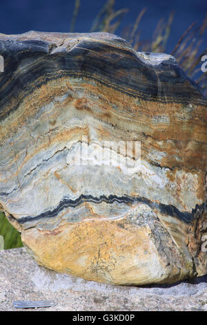 Mylonite (rocce metamorfiche) texture di sfondo wild all'aperto Foto Stock