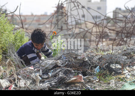 La striscia di Gaza, la striscia di Gaza. 24 Mar, 2016. Bambini palestinesi stanno piantando rose e fiori durante un rally impegnativo per ricostruire le loro case che sono state distrutte durante la guerra 2014 nel quartiere Shejaiya. © Mohammed Al Hajjar/RoverImages/Pacific Press/Alamy Live News Foto Stock