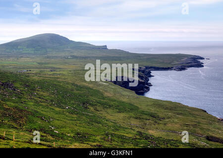 Valentia Island, testa di Bray, Iveragh Peninsula, Skellig Ring di Kerry, Irlanda, Europa Foto Stock