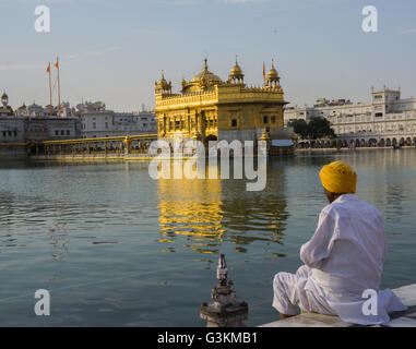 Uomo che prega davanti al tempio d'oro di Amritsar Foto Stock