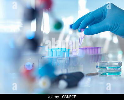 Un eppendorf contenente un campione utilizzato in chimica analitica e di estrazione del DNA in attesa di test in un laboratorio Foto Stock