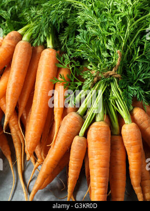 Le carote fresche con cime di carota, legati con spago, close-up Foto Stock