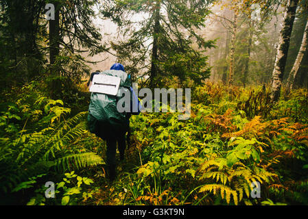 Vista posteriore di un escursionista zaino porta in foresta Foto Stock