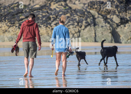 Un paio di piedi i loro cani su Fistral Beach in Newquay, Cornwall. Foto Stock