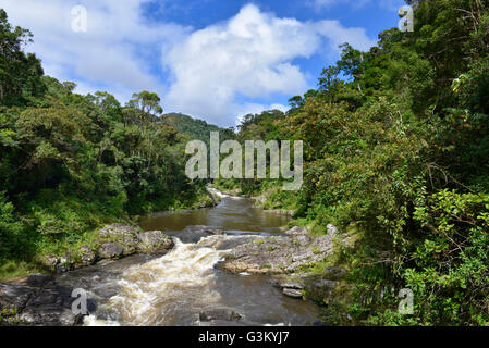 Fiume meandro, foresta pluviale, Ranomafana National Park, Southern Highlands, Madagascar Foto Stock