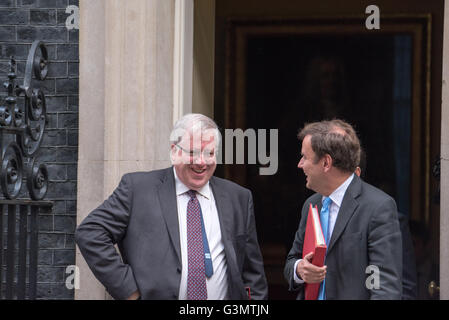 Londra, Regno Unito. 14 Giugno, 2016. Patrick McLoughlin, Segretario dei trasporti lascia 10 Downing Street Credit: Ian Davidson/Alamy Live News Foto Stock