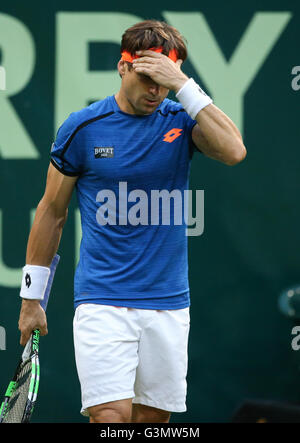 Halle, Germania. Xiii Giugno, 2016. Giocatore di Tennis David Ferrer della Spagna in azione contro Seppi di Italia durante l'ATP torneo di tennis a Halle, Germania, 13 giugno 2016. Foto: FRISO GENTSCH/dpa/Alamy Live News Foto Stock