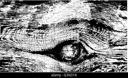 Legno stagionato texture. Sezione trasversale di un albero Illustrazione Vettoriale