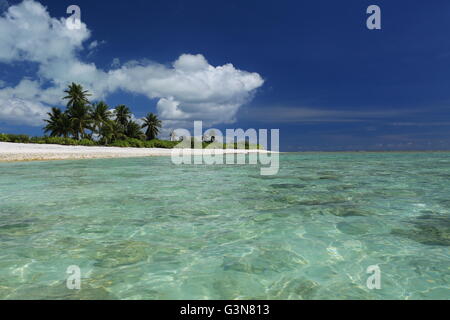 Telecomando incontaminate coco Palm Beach, Isola di Natale, Kiribati Foto Stock