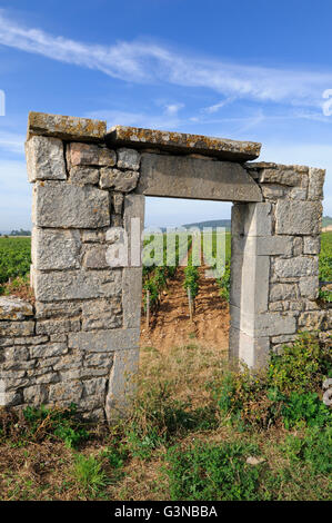 Portale della vigna della Borgogna vicino a Beaune, Cote d'Or, Francia, Europa Foto Stock