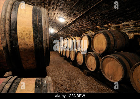 Botti di vino in una cantina, Cote d'Or, Borgogna, in Francia, in Europa Foto Stock