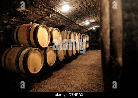 Botti di vino in una cantina, Cote d'Or, Borgogna, in Francia, in Europa Foto Stock