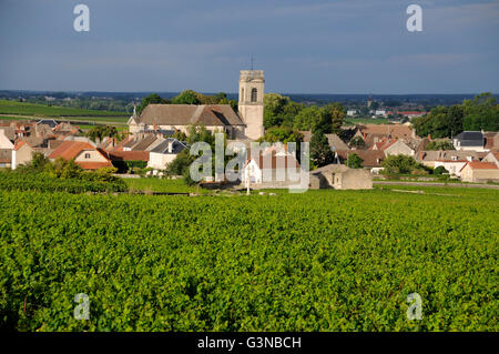 Vigneto e villaggio di Pommard, Cote d'Or, Route des Grands Crus, Borgogna, in Francia, in Europa Foto Stock