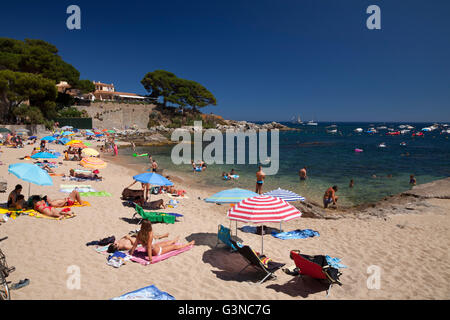 Spiaggia di Calella de Palafrugell, in Costa Brava Catalogna, Spagna, Europa, PublicGround Foto Stock