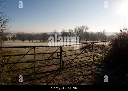 Campagna di Kent in inverno, REGNO UNITO Foto Stock