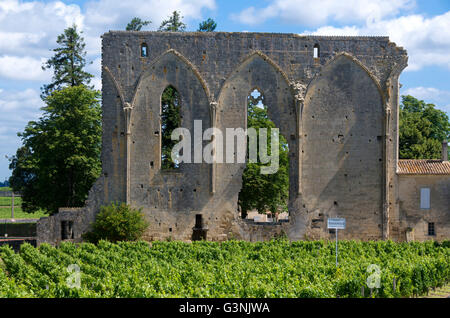 Vigneto di Château Les Grandes Murailles, Saint-Émilion, Gironde Bordeaux, Francia, Europa Foto Stock