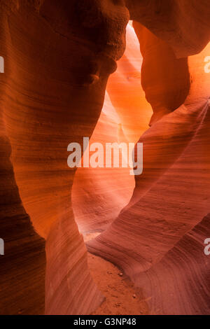 Stretta fessura arancio canyon nella Bassa Antelope Canyon, Pagina, AZ, Stati Uniti d'America Foto Stock