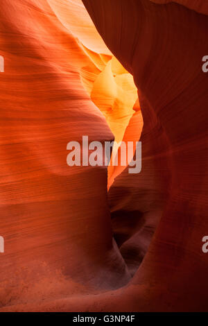 Stretta fessura arancio canyon nella Bassa Antelope Canyon, Pagina, AZ, Stati Uniti d'America Foto Stock