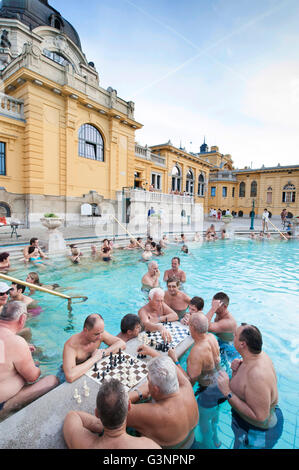 Gli uomini che giocano a scacchi in piscina, Szechenhu bagno termale, Budapest, Ungheria, Europa Foto Stock