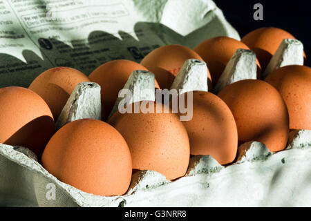 Dodici pollo uova in un uovo di green box Foto Stock