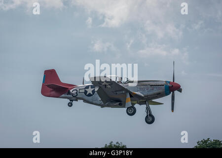 P-51D Mustang aereo in volo in arrivo a terra con le ruote verso il basso per lo sbarco Foto Stock