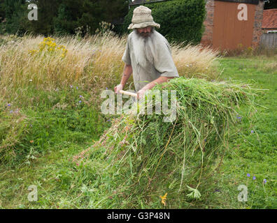 Un Inglese scything un campo nella campagna di Norfolk in Inghilterra. Foto Stock