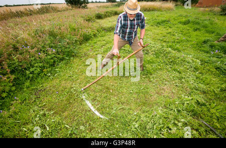 Un Inglese scything un campo nella campagna di Norfolk in Inghilterra. Foto Stock