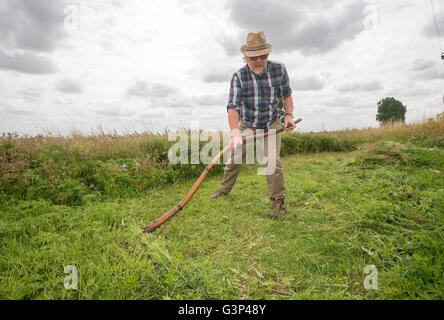 Un Inglese scything un campo nella campagna di Norfolk in Inghilterra. Foto Stock