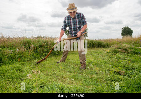 Un Inglese scything un campo nella campagna di Norfolk in Inghilterra. Foto Stock