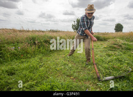 Un Inglese scything un campo nella campagna di Norfolk in Inghilterra. Foto Stock