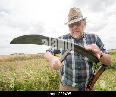 Un Inglese scything un campo nella campagna di Norfolk in Inghilterra. Foto Stock