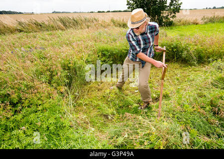 Un Inglese scything un campo nella campagna di Norfolk in Inghilterra. Foto Stock