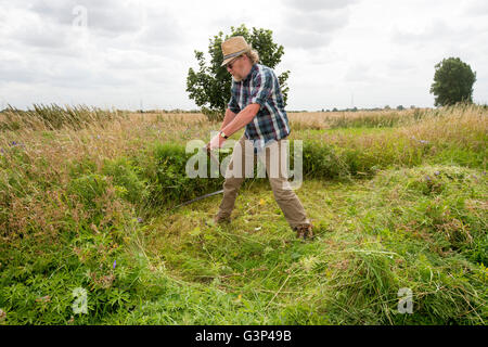 Un Inglese scything un campo nella campagna di Norfolk in Inghilterra. Foto Stock