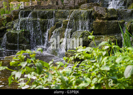 Una vista della cascata nel giardino giapponese isola a Regents Park, Londra. Foto Stock