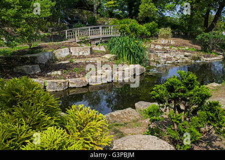 Una vista del bel giardino Giapponese isola situata nella Regina Marie Giardini a Regents Park, Londra. Foto Stock